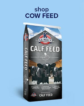 Cow Feed